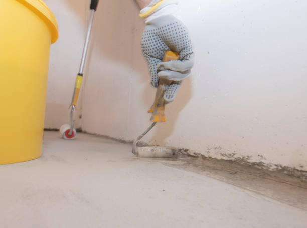 Reliable North Hudson, WI Pest Control Solutions